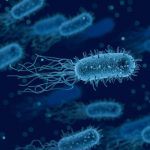 WHAT ARE SUPERBUGS and how to prevent them