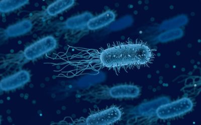 What are Superbugs
