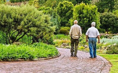 Caregivers activity session